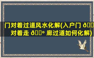 门对着过道风水化解(入户门 🍁 对着走 🐺 廊过道如何化解)